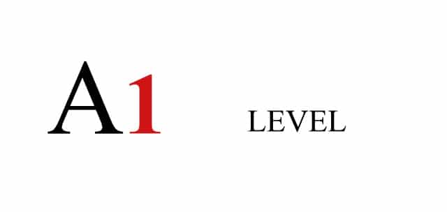 LEVEL A1 – Beginning/Initial Contact
